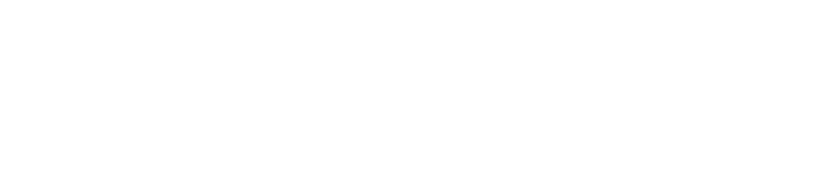 Taurus Global