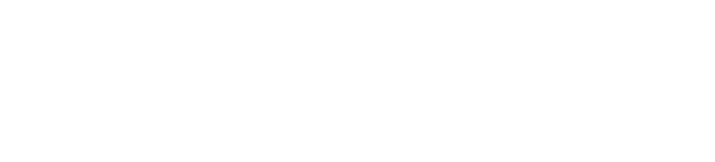 Taurus Global